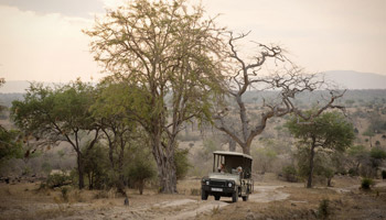 10 Days Best Of Tanzania Southern Circuit Safari