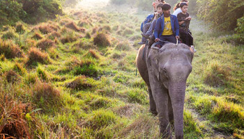 11 Days  Standard Wildlife Adventure Safari