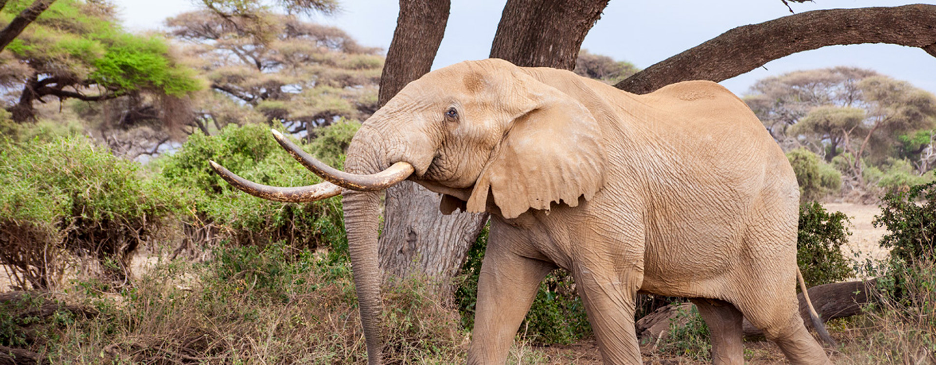 12 Days Tanzanian Dreams Adventure Safaris