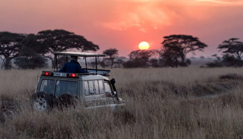 12 Days Tanzanian Dreams Adventure Safaris