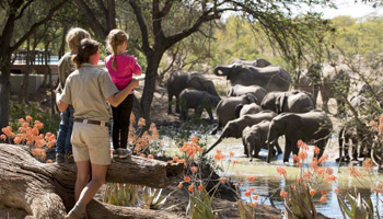 3 Days Southern Safari To Nyerere