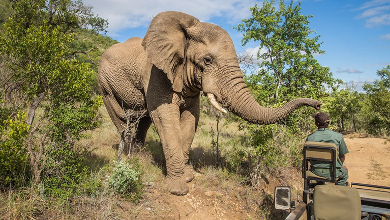 3 Days Southern Safari To Nyerere