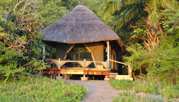 3 Days Tanzania Western Safari to Mahale
