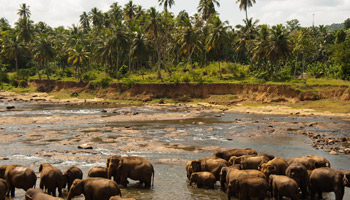 3 Day Tanzania Western Safari to Katavi