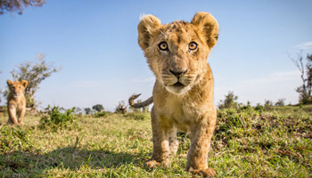 4 Days Tanzania Western Safari to Katavi