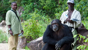 7 Days Tanzania Western Safari to Mahale and Gombe