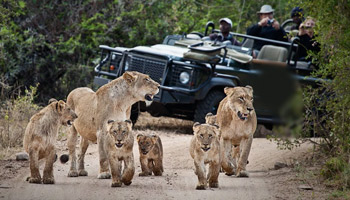 7 Days Tanzania Safari To Mikumi And Nyerere