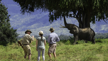 7 Days Tanzania Family Safari