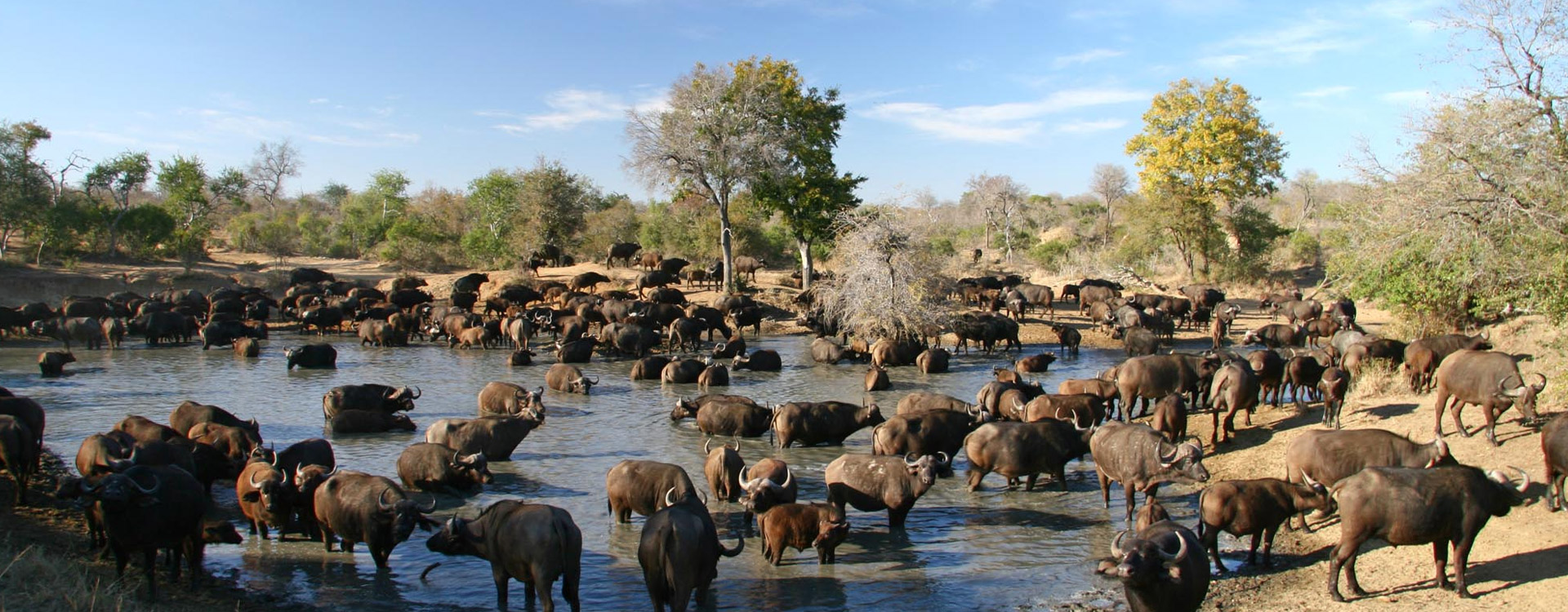 7 Days Tanzania Western Safari to Mahale, Gombe and Kigoma