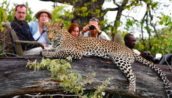 8 Days Family Wildlife Safari To Zanzibar