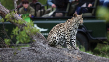 8 Days Family Wildlife Safari To Zanzibar