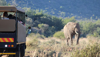 8 Days Tanzania Southern Wildlife Experience