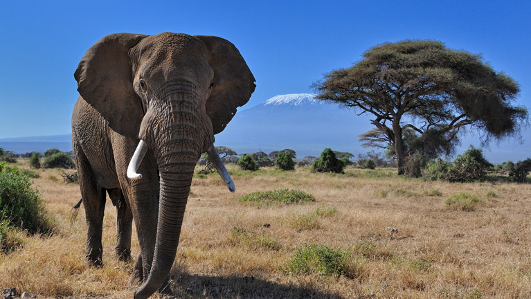 Arusha Park Day Trip