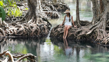 Kikuletwa Hot Springs