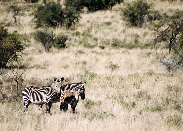 Kitulo National Park