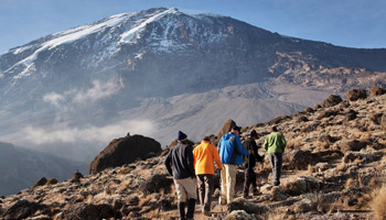 7 Days Lemosho Route