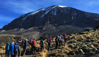 7 Days Lemosho Route