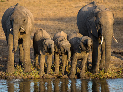 3 Days Southern Safari To Nyerere