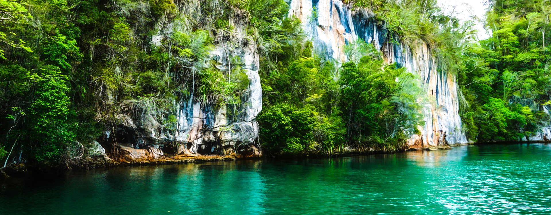 Rubondo National park