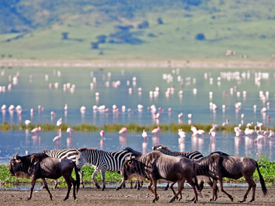 13 Days Tanzania Luxury Safari - Wildebeest Migration & Zanzibar Beach Holiday
