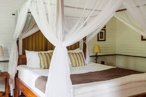 Mount Meru Game Lodge