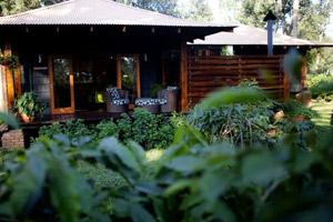 Arusha Coffee Lodge