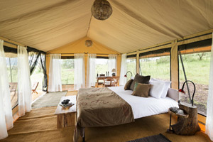 Tarangire Kichuguu Tented Camp