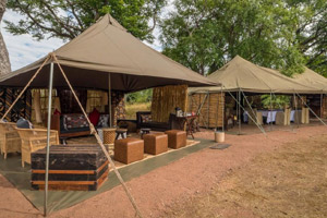 Tanzania Bush Camp
