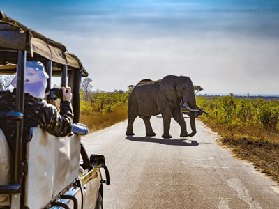 Northern Tanzania Safari